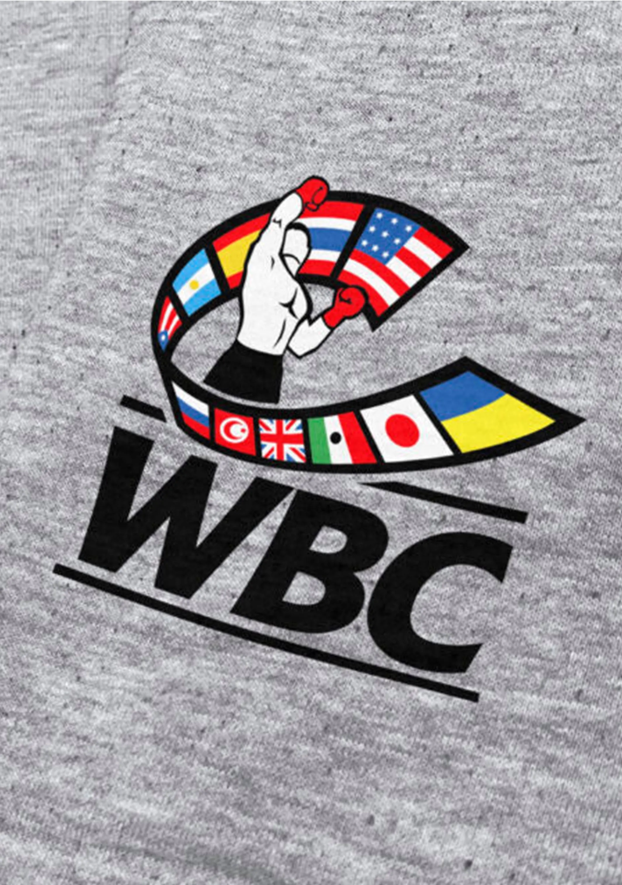 Adidas Herren WBC Heritage Hoodie Grau <br> ADIWBCH01