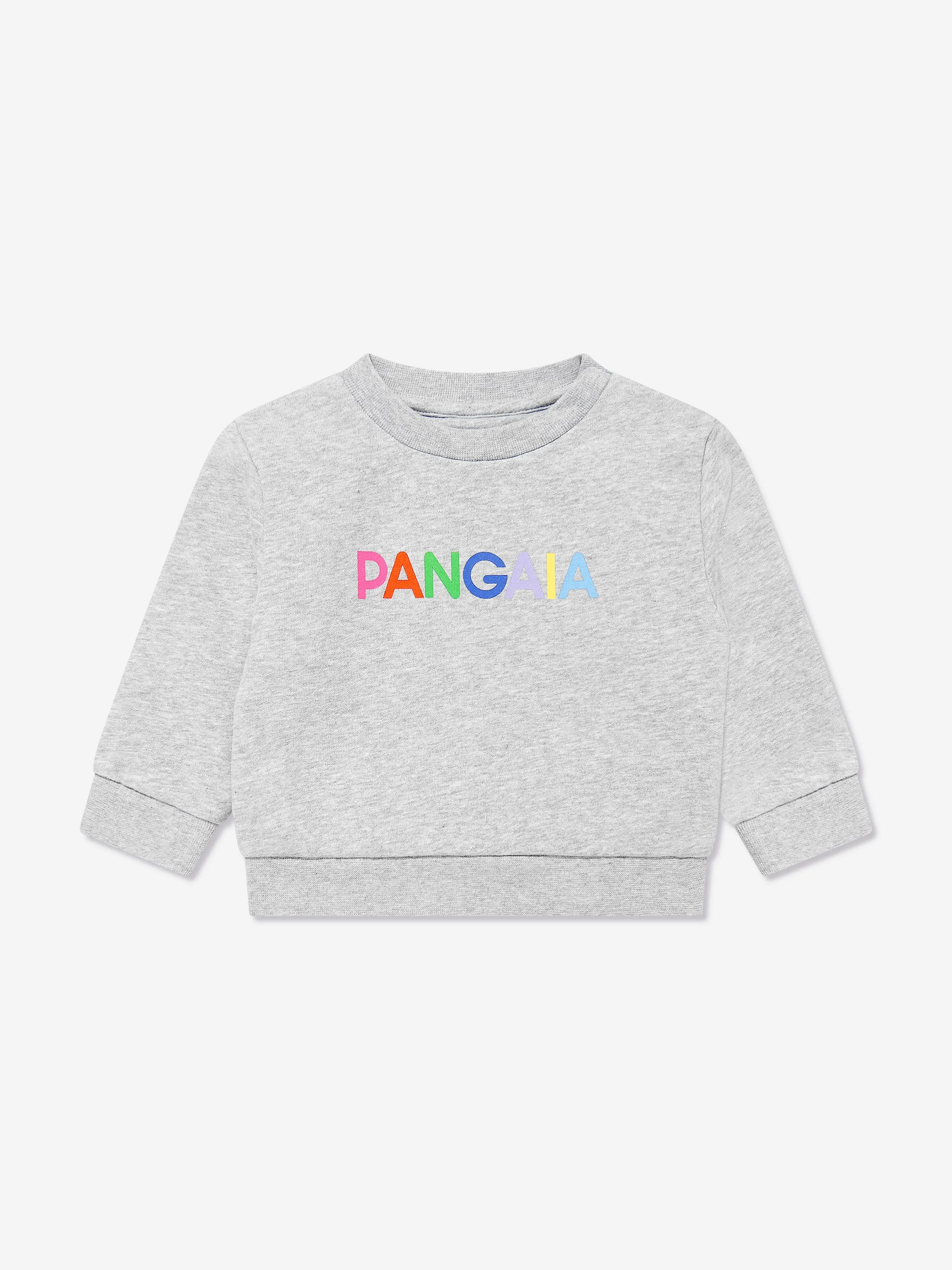 Baby 365 Grafik-Sweatshirt in Grau