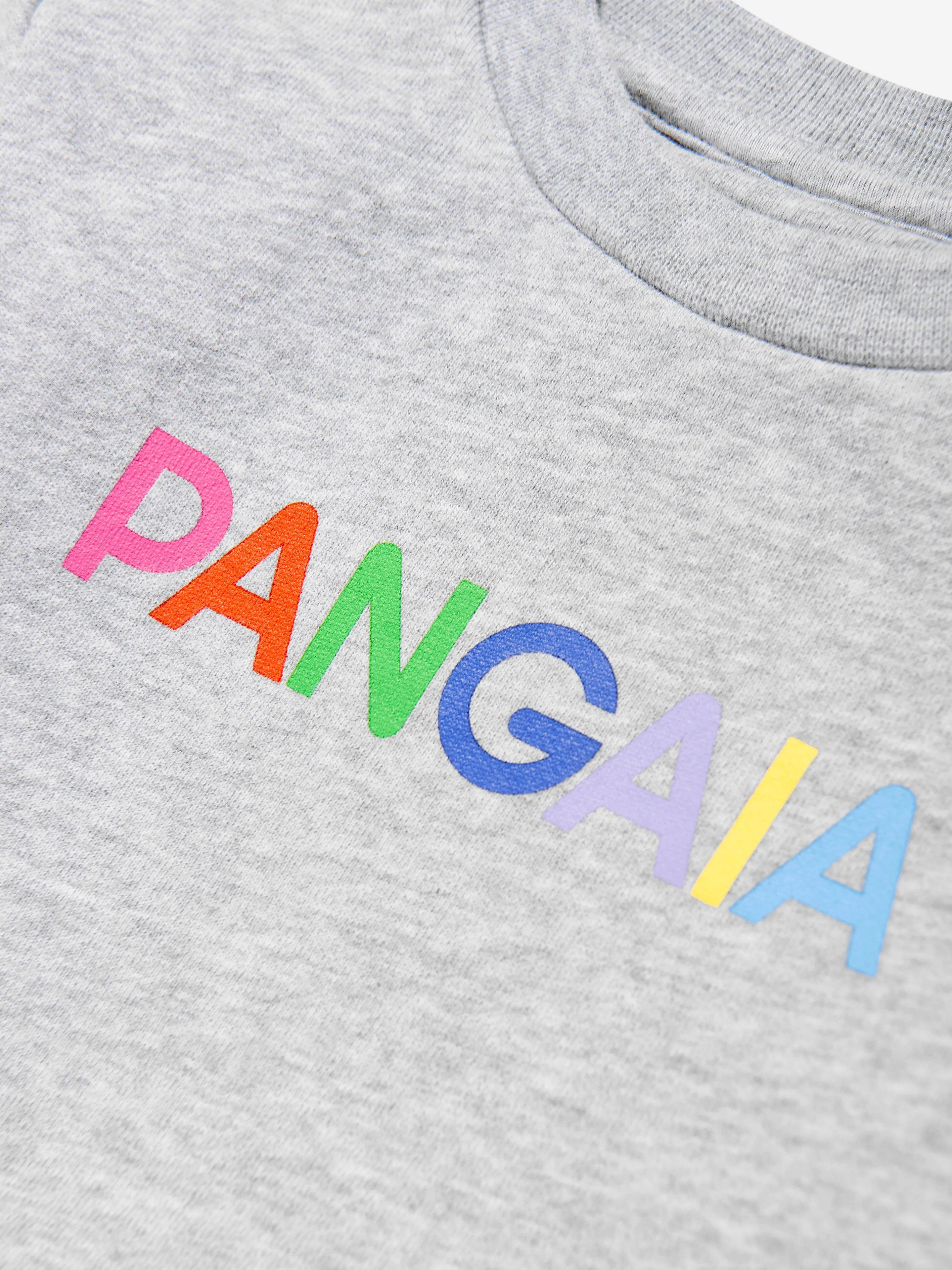 Baby 365 Grafik-Sweatshirt in Grau