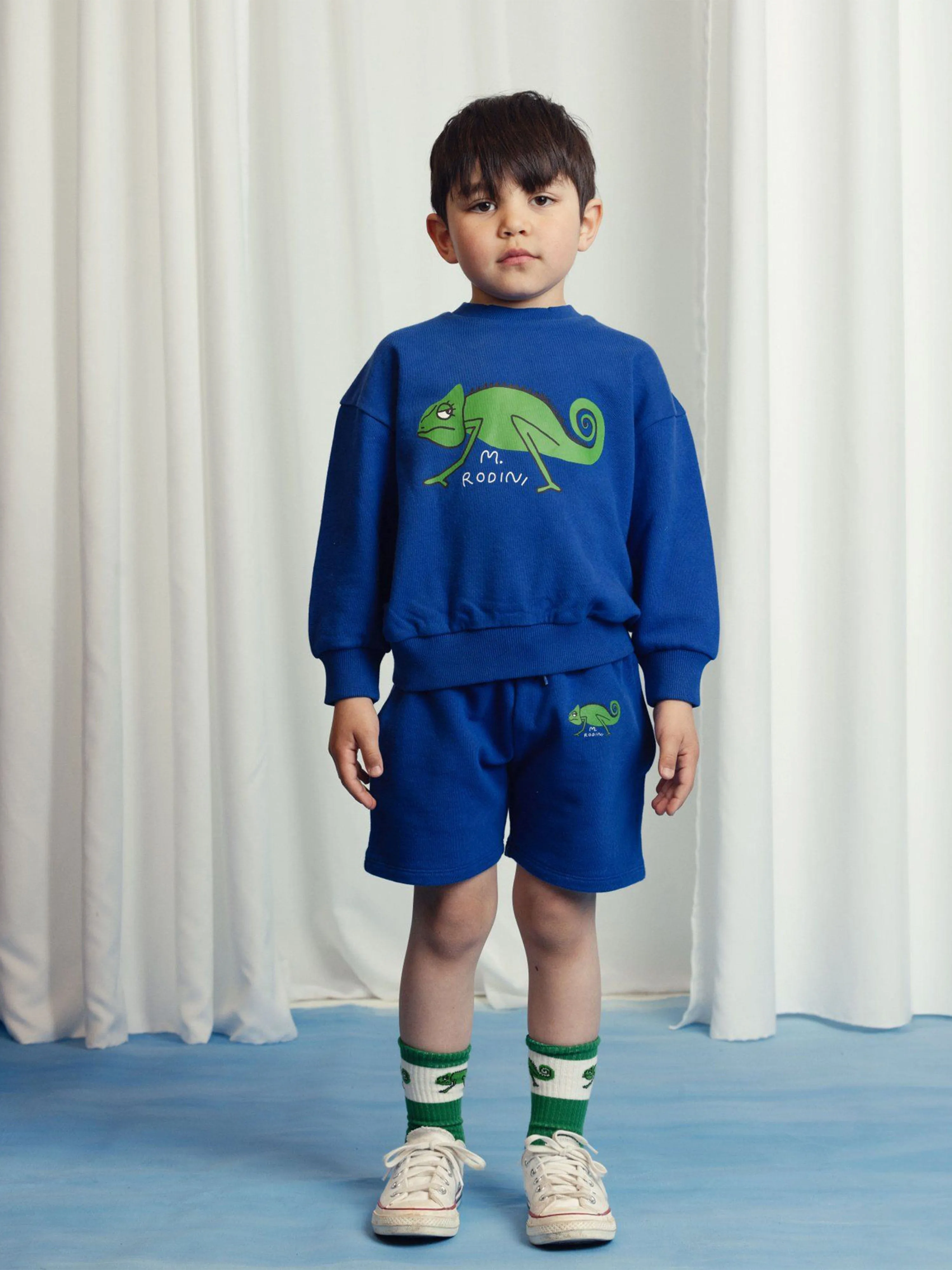 Jungen Eidechsen Sweatshirt in Blau