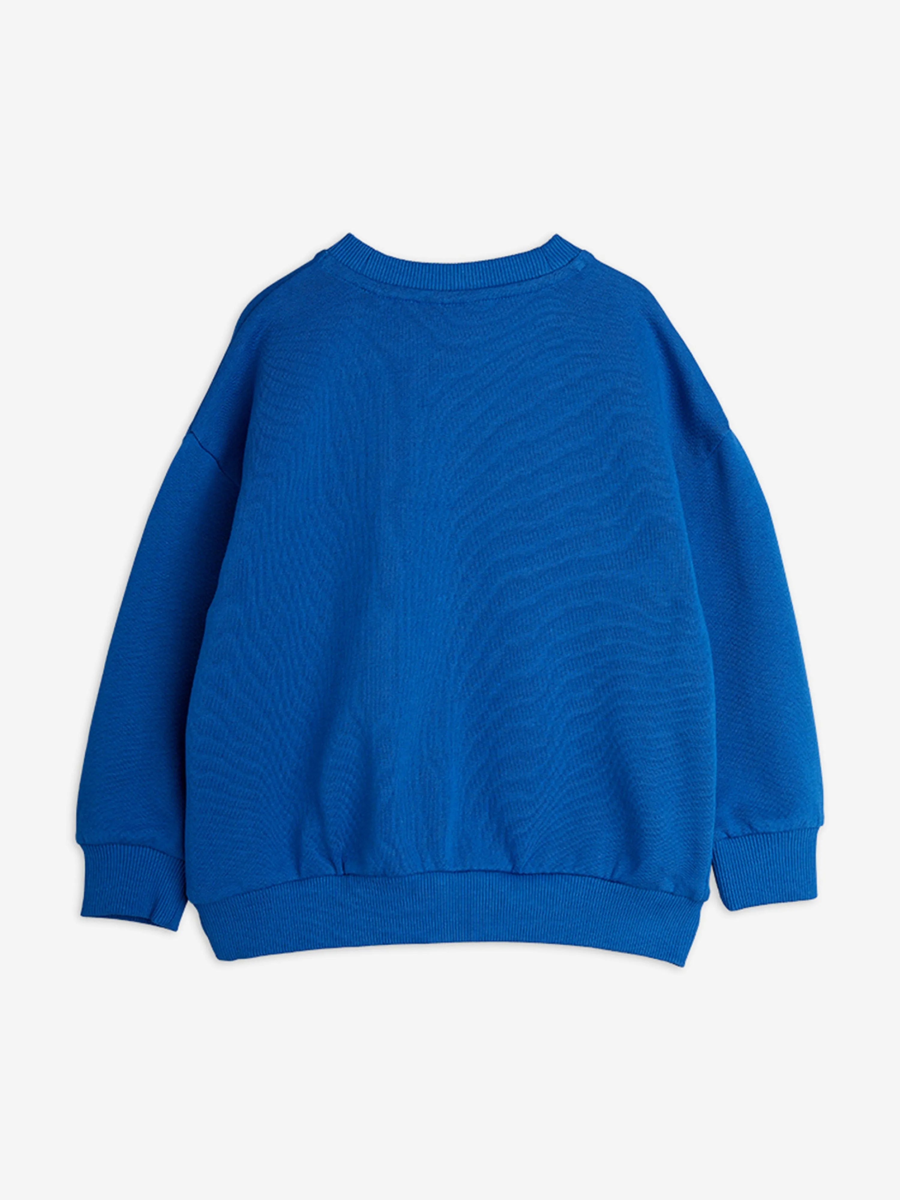 Jungen Eidechsen Sweatshirt in Blau