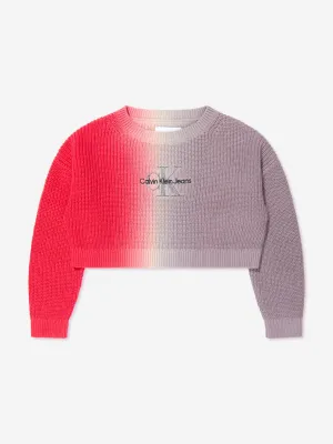Calvin Klein Mädchen Monogramm Verlaufspullover in Kastanienbraun