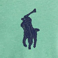 Polo Ralph Lauren - Custom Fit Mesh Polo - Resort Green Heather Polo Ralph Lauren Kleidung