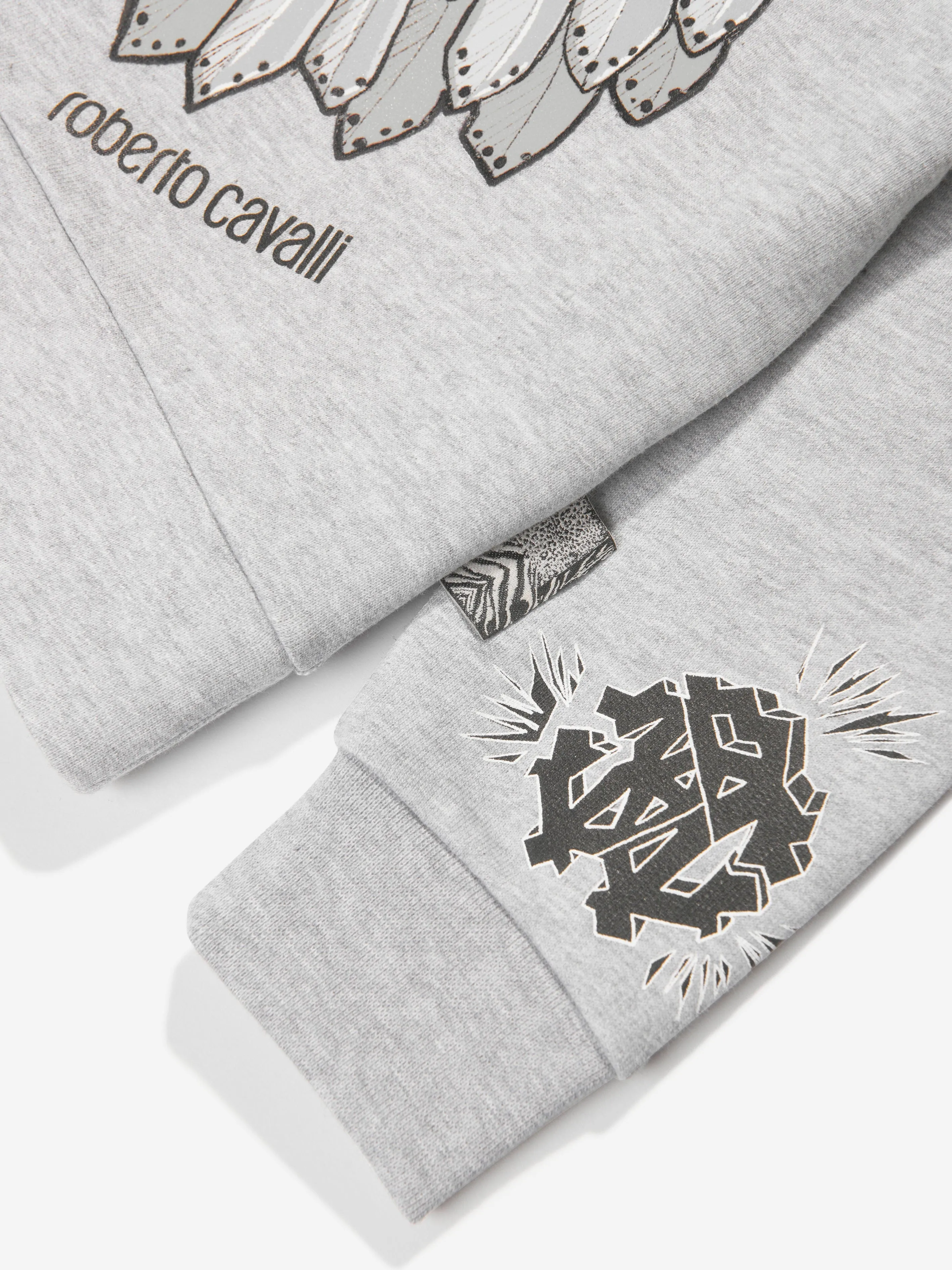Roberto Cavalli Jungen Löwen Sweatshirt in Grau